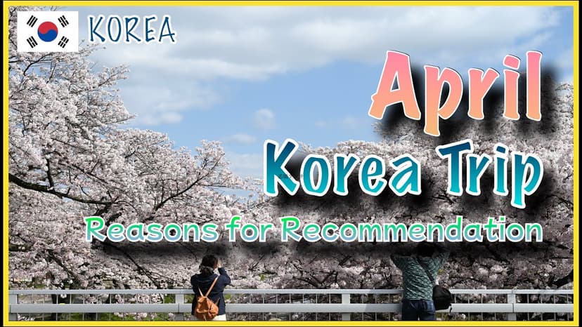 Cover image for Seoul Spring Festival 2026: Hangang Parks Tourist Guide