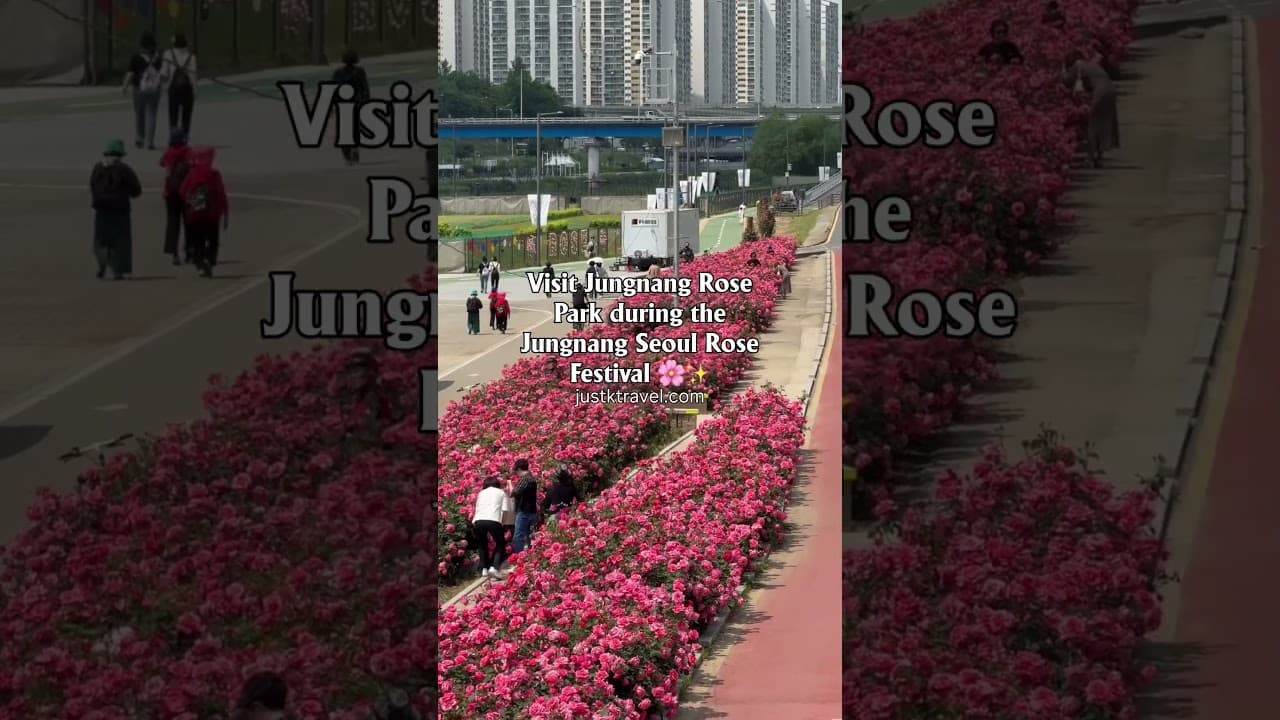 Seoul Rose Festival 2026: Complete Tourist Guide to Jungnang
